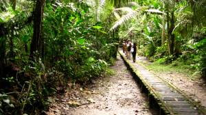 the walk to la selva