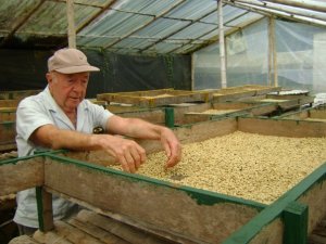 a visit to the coffee farm